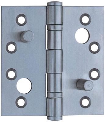 Stainless Steel Ball Bearing Security Hinge
